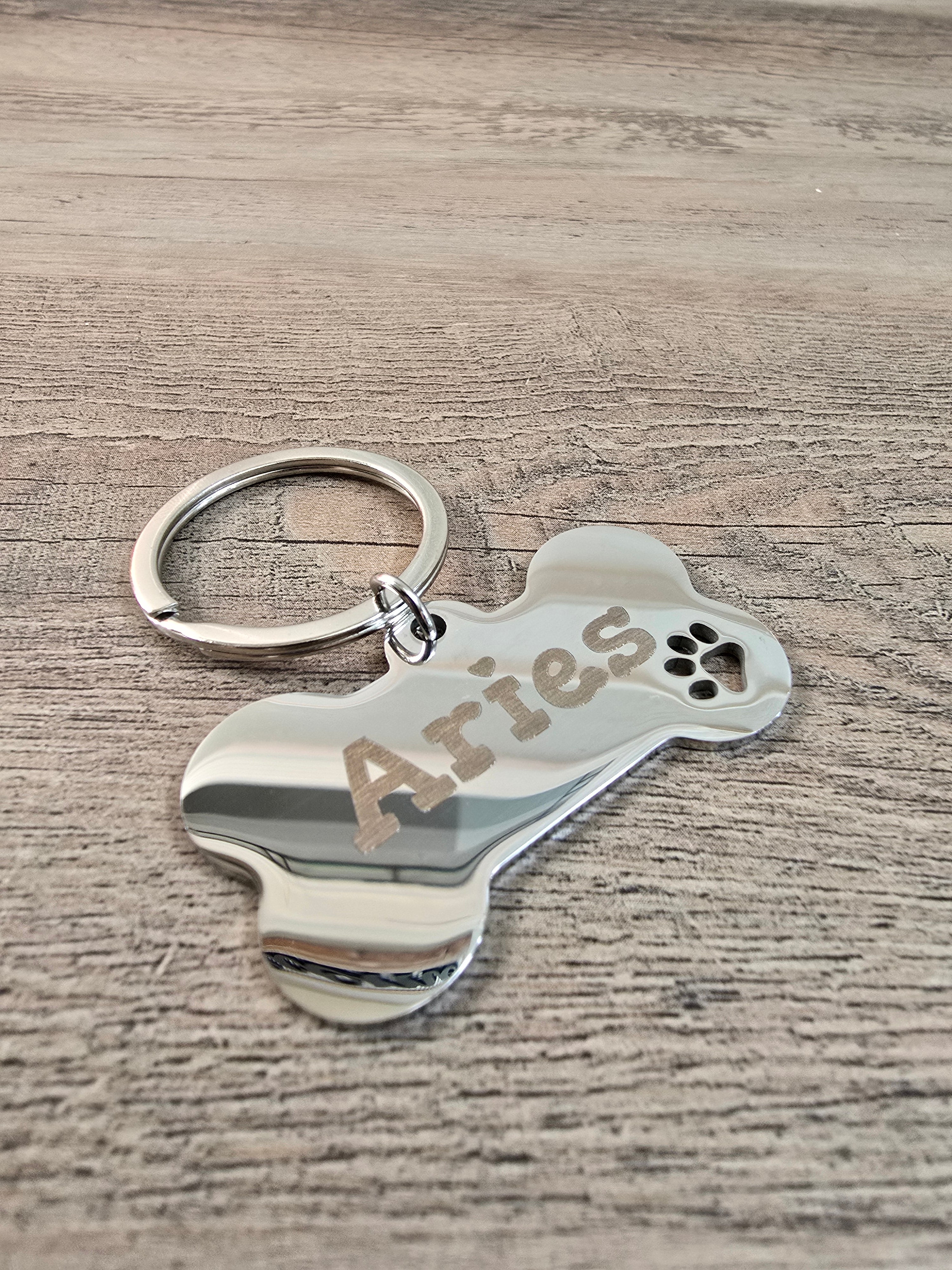 Stainless Steel Bone Metal Pet Tag
