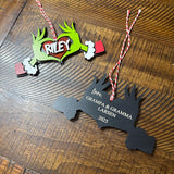 Personalized Grinch Ornament - Custom Whoville Christmas Ornament