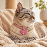 Cat wearing pink personalized pet ID tag engraved with Miley