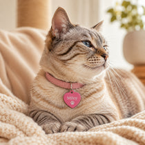 Cat wearing pink personalized pet ID tag engraved with Miley