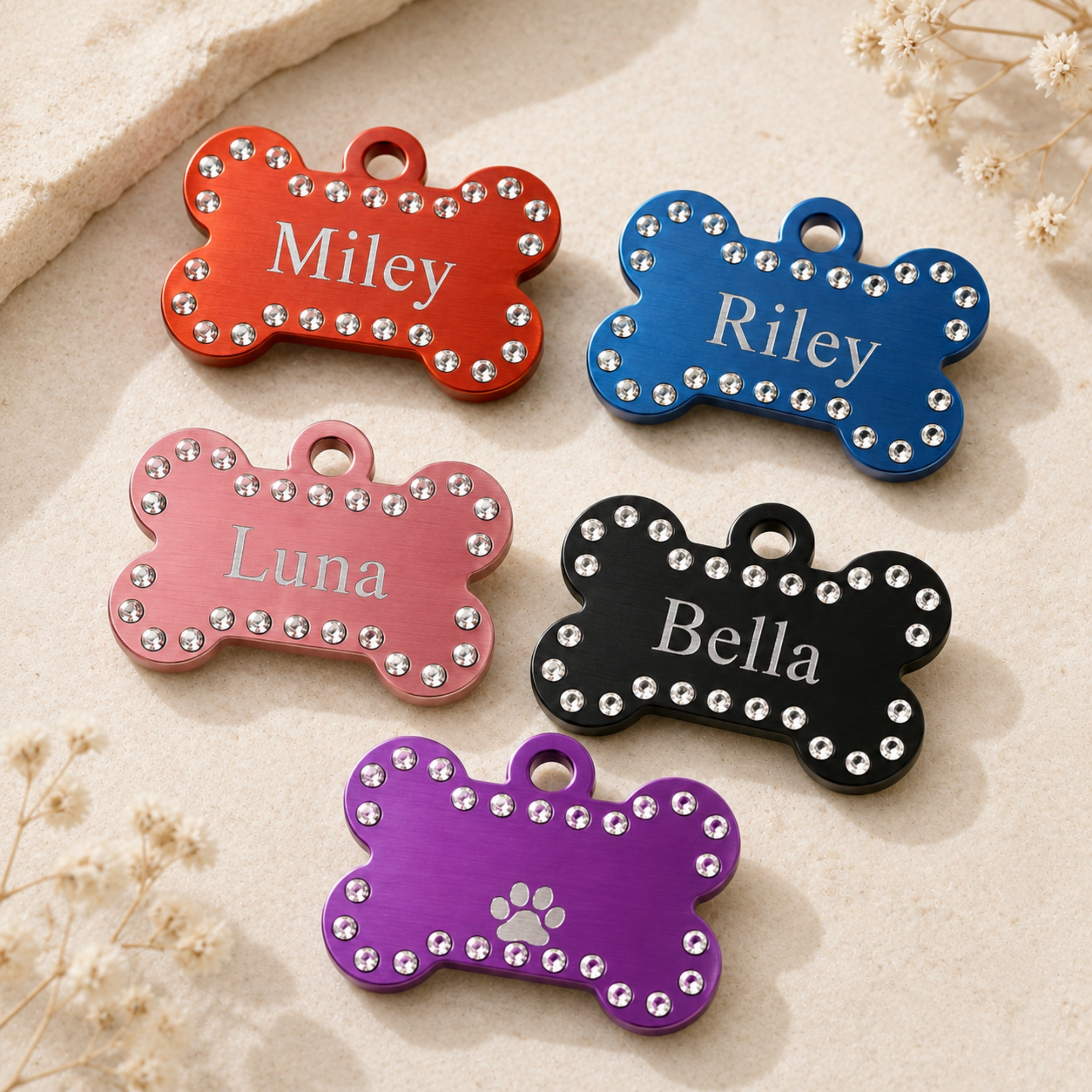 Crystal pet ID tags with engraved front name examples for dogs and cats