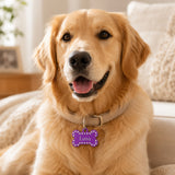 Dog wearing purple crystal pet ID tag on collar