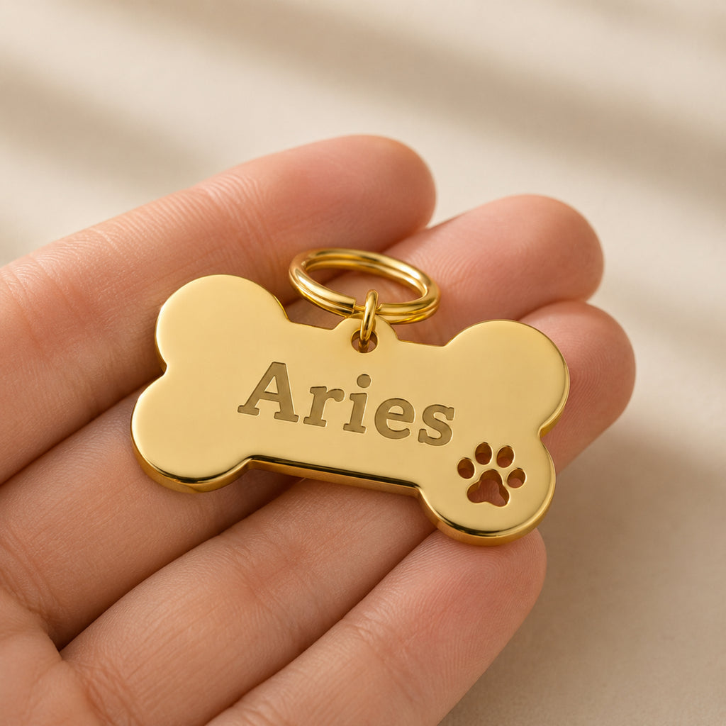 Gold stainless steel bone pet tag shown in hand for size reference