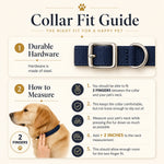 Pet collar fit guide showing how to measure for a personalized leatherette collar
