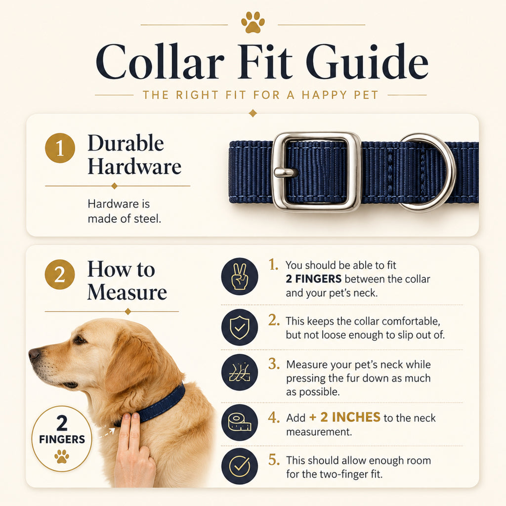 Pet collar fit guide showing how to measure for a personalized leatherette collar
