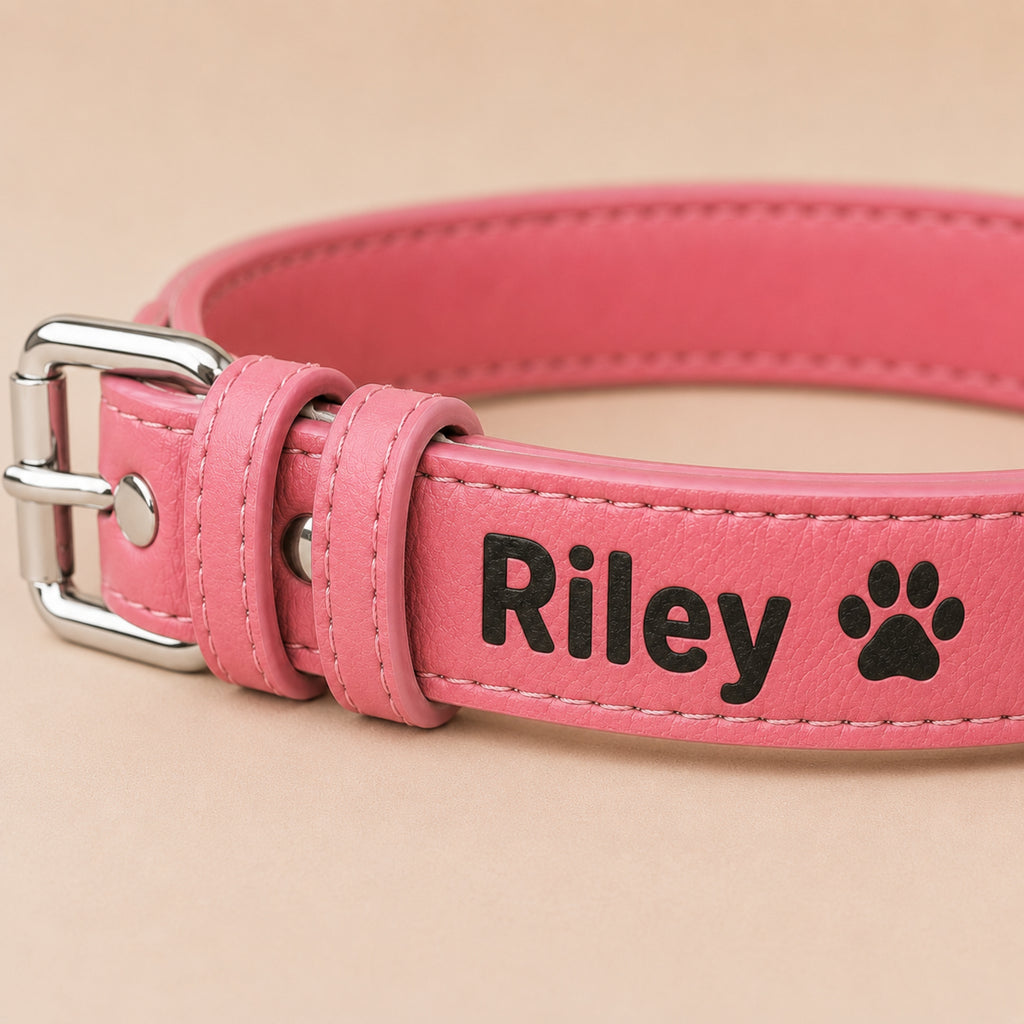 Pink personalized leatherette pet collar engraved with Riley and paw icon