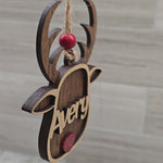 Video of custom reindeer