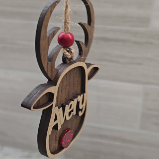 Video of custom reindeer