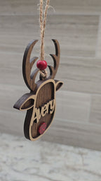 Video of custom reindeer